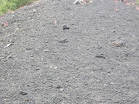 nte Rinatu-20110615 128